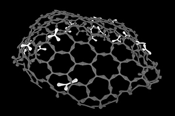 Cellular Robots Aggregation